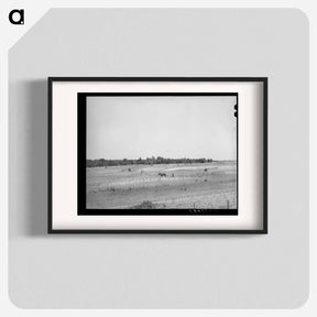 アートポスター-Strip Farming, Oklahoma
 - ラッセル リー Poster.
