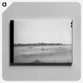 アートパネル-Strip Farming, Oklahoma
 - ラッセル リー Canvas.