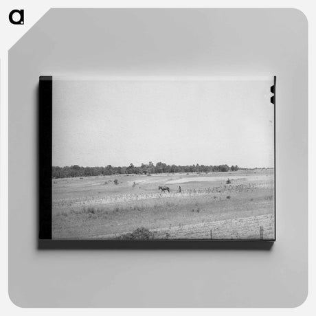 アートパネル-Strip Farming, Oklahoma
 - ラッセル リー Canvas.