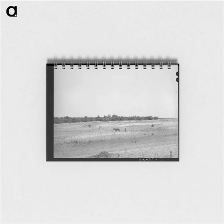アートメモ帳-Strip Farming, Oklahoma
 - ラッセル リー Memo.