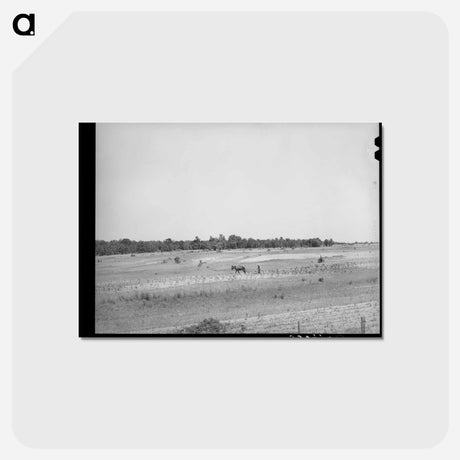 アートポストカード-Strip Farming, Oklahoma
 - ラッセル リー Postcard.