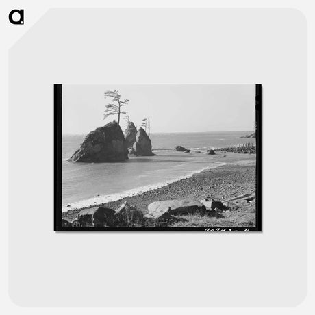 アートポストカード-Tillamook Coast
 - ラッセル リー Postcard.
