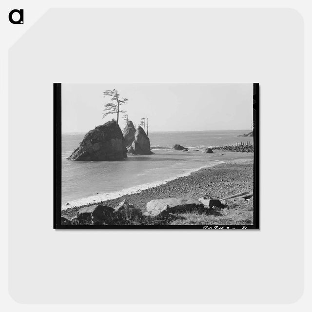 アートポストカード-Tillamook Coast
 - ラッセル リー Postcard.