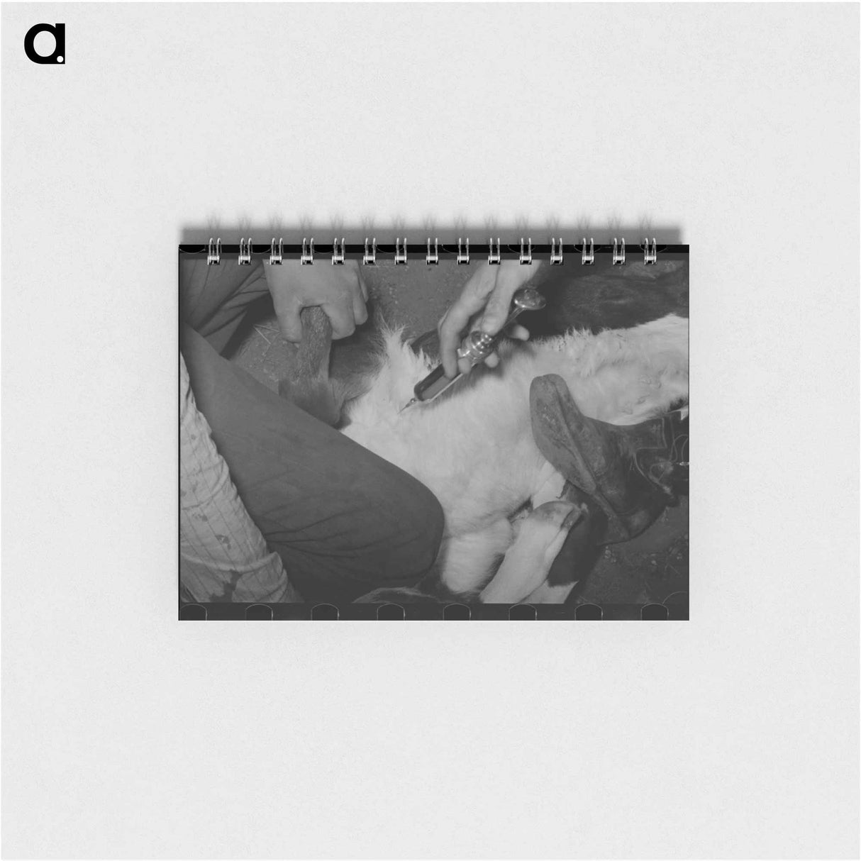 アートメモ帳-Inoculating a Calf at Roundup
 - ラッセル リー Memo.