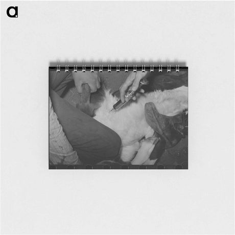 アートメモ帳-Inoculating a Calf at Roundup
 - ラッセル リー Memo.