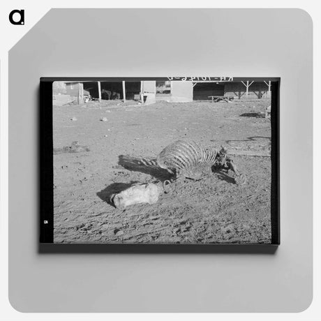 アートパネル-Horse Skeleton, Anthon, Iowa
 - ラッセル リー Canvas.