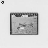 アートメモ帳-Horse Skeleton, Anthon, Iowa
 - ラッセル リー Memo.