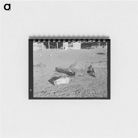 アートメモ帳-Horse Skeleton, Anthon, Iowa
 - ラッセル リー Memo.