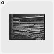 アートポストカード-Bakery Goods, San Angelo
 - ラッセル リー Postcard.