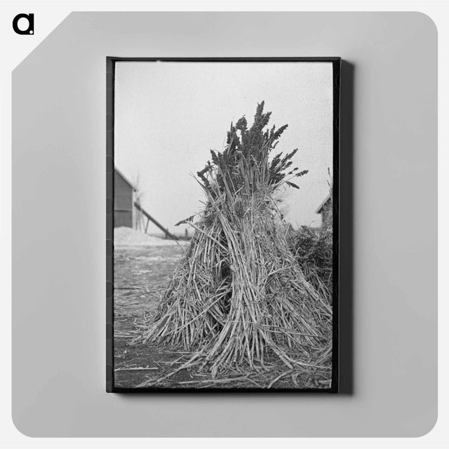 アートパネル-Sugarcane Fodder, Emmet County
 - ラッセル リー Canvas.