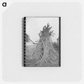 アートメモ帳-Sugarcane Fodder, Emmet County
 - ラッセル リー Memo.