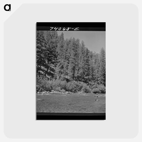 アートポストカード-Fishing in the Salmon River
 - ラッセル リー Postcard.