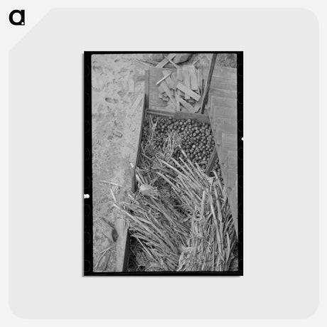 アートポストカード-Old Gristmill on Skyline Drive
 - ラッセル リー Postcard.