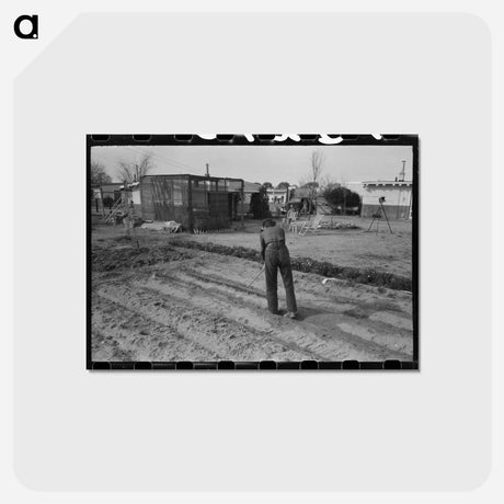 アートポストカード-Camelback Farms Garden
 - ラッセル リー Postcard.
