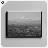 アートパネル-Orchards of Hood River Valley
 - ラッセル リー Canvas.