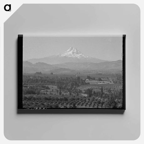 アートパネル-Orchards of Hood River Valley
 - ラッセル リー Canvas.