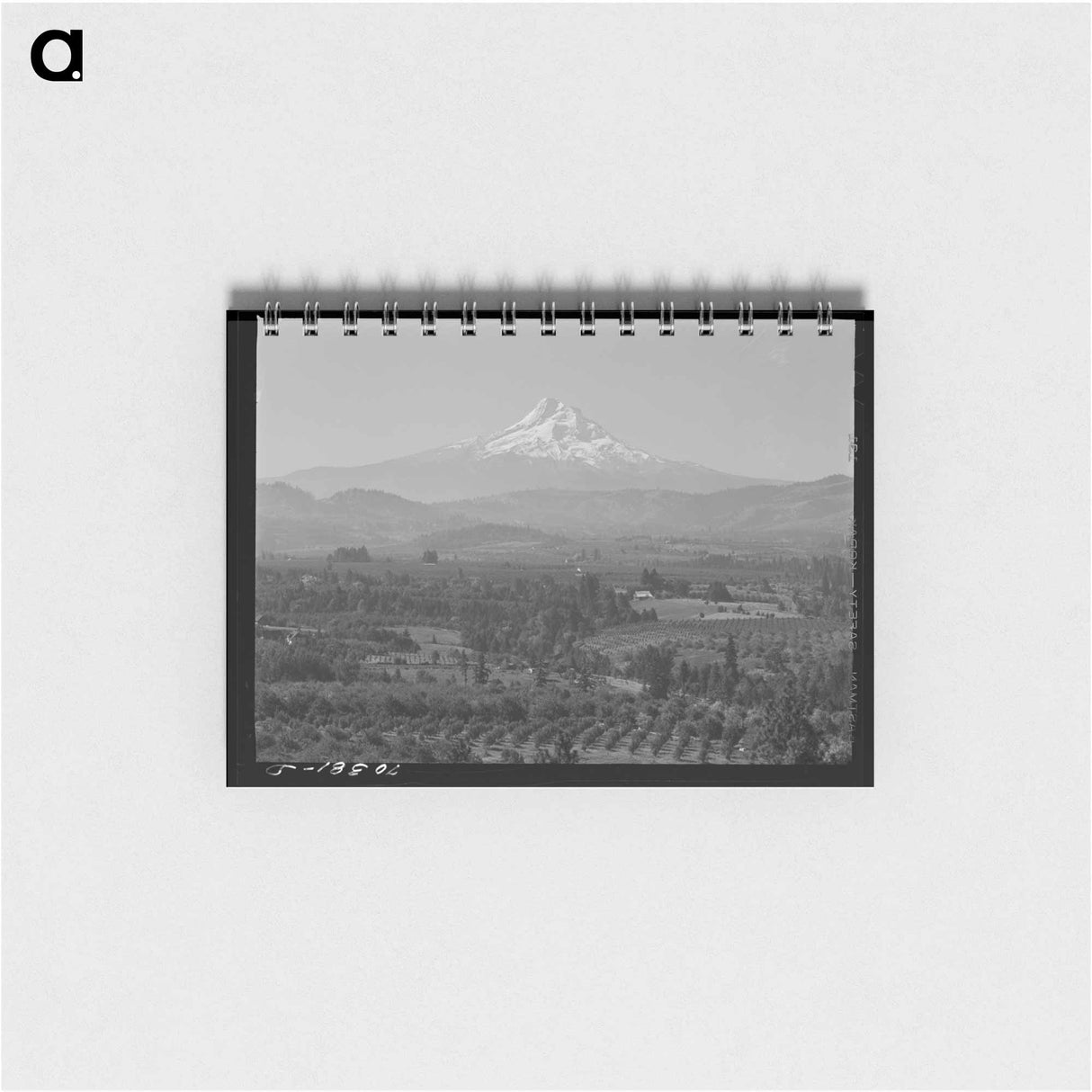 アートメモ帳-Orchards of Hood River Valley
 - ラッセル リー Memo.