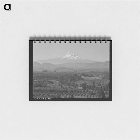 アートメモ帳-Orchards of Hood River Valley
 - ラッセル リー Memo.