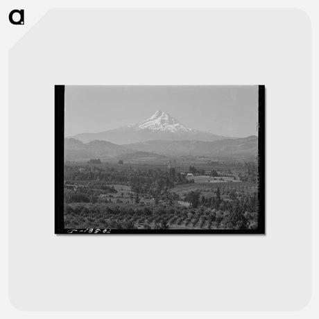 アートポストカード-Orchards of Hood River Valley
 - ラッセル リー Postcard.