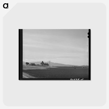 アートポストカード-Harrowing a Field
 - ラッセル リー Postcard.