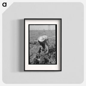 アートポスター-Blueberry Picker
 - ラッセル リー Poster.