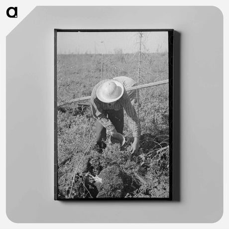 アートパネル-Blueberry Picker
 - ラッセル リー Canvas.