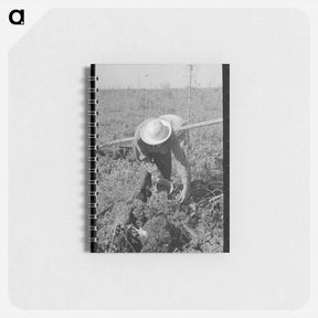 アートメモ帳-Blueberry Picker
 - ラッセル リー Memo.