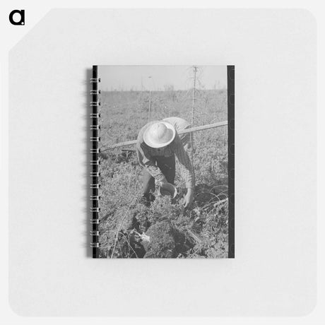 アートメモ帳-Blueberry Picker
 - ラッセル リー Memo.