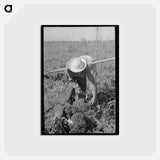アートポストカード-Blueberry Picker
 - ラッセル リー Postcard.