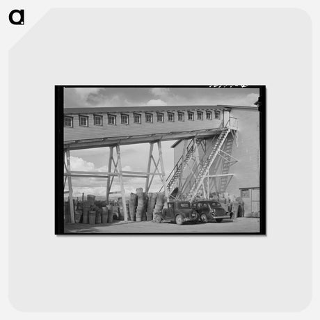アートポストカード-Yakima Chief Hop Ranch
 - ラッセル リー Postcard.