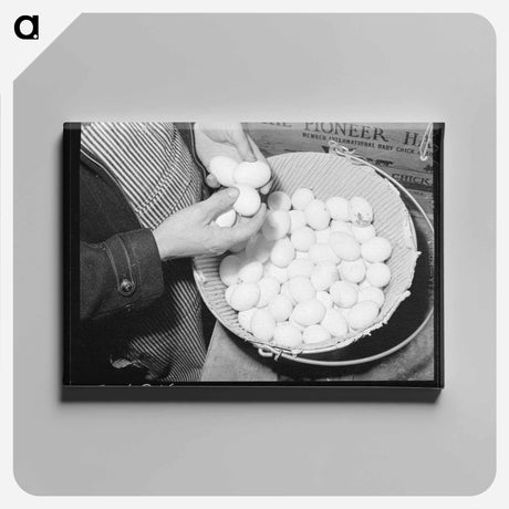 アートパネル-Examining Pedigreed Eggs
 - ラッセル リー Canvas.