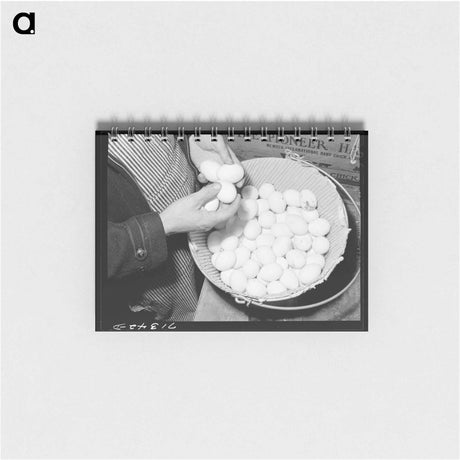 アートメモ帳-Examining Pedigreed Eggs
 - ラッセル リー Memo.