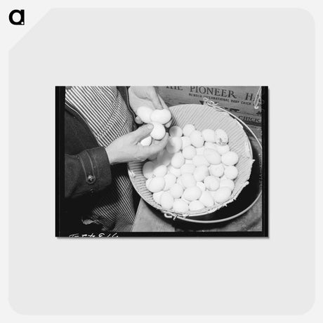 アートポストカード-Examining Pedigreed Eggs
 - ラッセル リー Postcard.