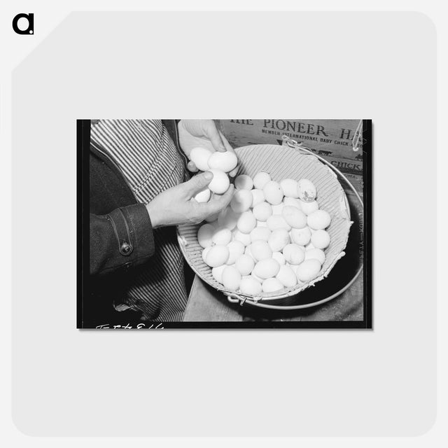 アートポストカード-Examining Pedigreed Eggs
 - ラッセル リー Postcard.