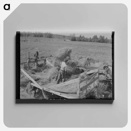 アートパネル-Alfalfa Threshing
 - ラッセル リー Canvas.
