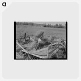 アートポストカード-Alfalfa Threshing
 - ラッセル リー Postcard.