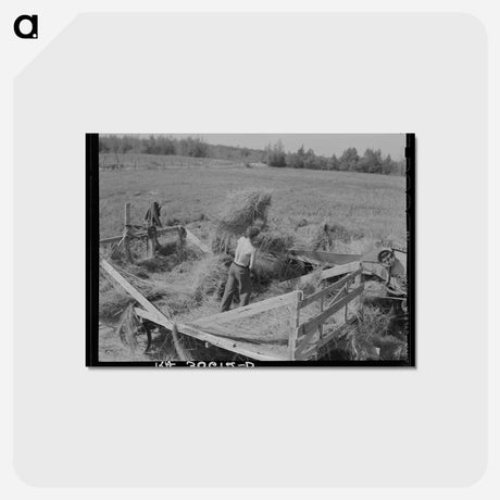 アートポストカード-Alfalfa Threshing
 - ラッセル リー Postcard.