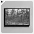 アートパネル-Central New Jersey Land Donation
 - ラッセル リー Canvas.