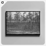 アートパネル-Central New Jersey Land Donation
 - ラッセル リー Canvas.