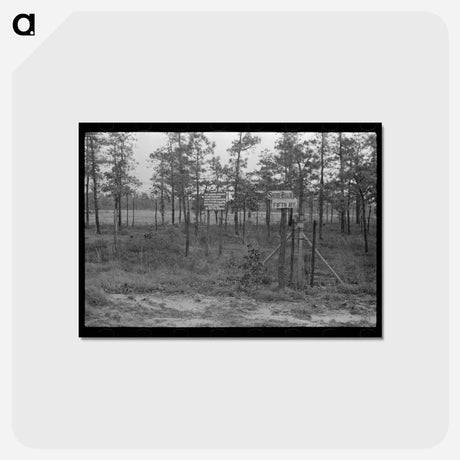 アートポストカード-Central New Jersey Land Donation
 - ラッセル リー Postcard.
