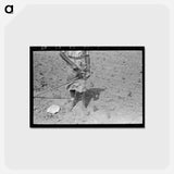 アートポストカード-Sharecropper Woman Filing Hoe
 - ラッセル リー Postcard.