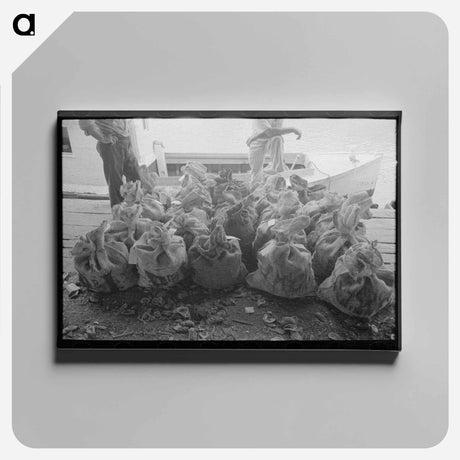 アートパネル-Sacks of Oysters, Olga, Louisiana
 - ラッセル リー Canvas.