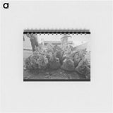 アートメモ帳-Sacks of Oysters, Olga, Louisiana
 - ラッセル リー Memo.