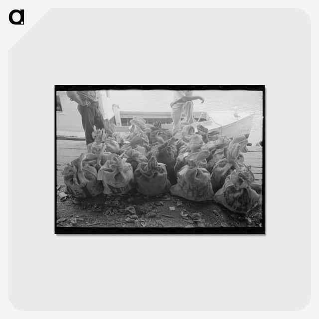 アートポストカード-Sacks of Oysters, Olga, Louisiana
 - ラッセル リー Postcard.