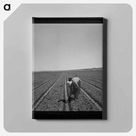 アートパネル-Transplanting Celery
 - ラッセル リー Canvas.
