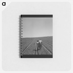 アートメモ帳-Transplanting Celery
 - ラッセル リー Memo.
