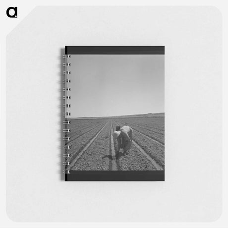 アートメモ帳-Transplanting Celery
 - ラッセル リー Memo.