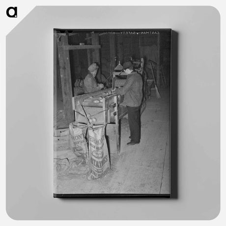 アートパネル-Grading Potatoes
 - ラッセル リー Canvas.