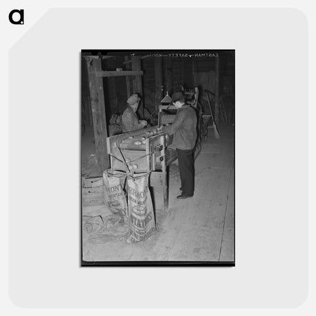 アートポストカード-Grading Potatoes
 - ラッセル リー Postcard.