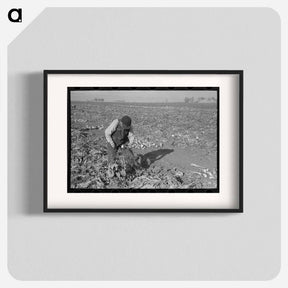 アートポスター-Topping Sugar Beets
 - ラッセル リー Poster.